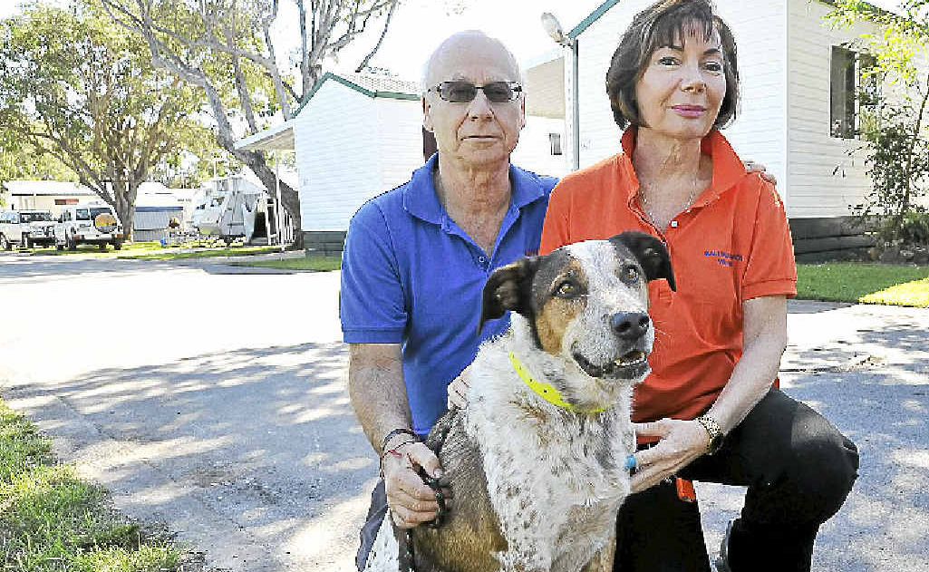 Bernard and Rikki Grinberg of Ballina Beach Village, in South Ballina. Bernard and Rikki Grinberg of Ballina Beach Village, in South Ballina.