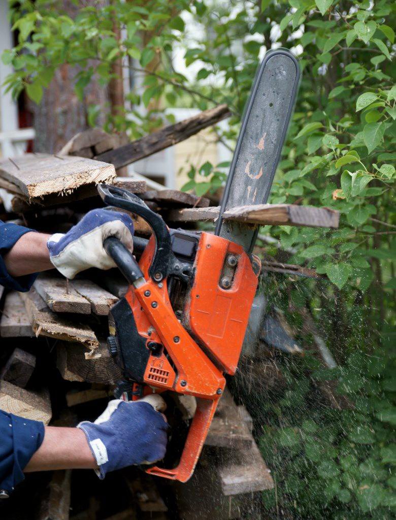 Man arrested in New Zealand after a short chase involving a chainsaw Man arrested in New Zealand after a short chase involving a chainsaw
