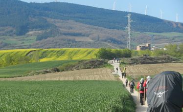 Walking through fields of canola en route to Puenta la Reina.
Walking through fields of canola en route to Puenta la Reina.