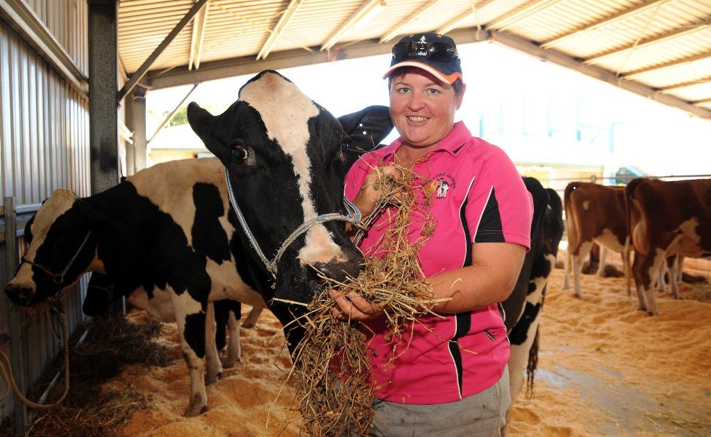 Leesa Ison feeding her cow Fairy. Leesa Ison feeding her cow Fairy.