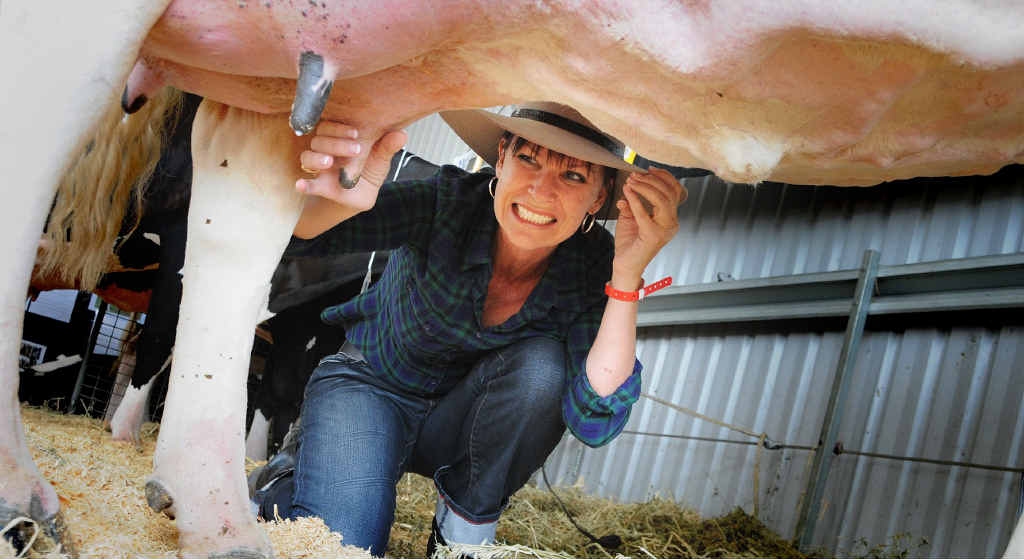 Gympie Times’ journalist Shelley Strachan overcomes her fear to take on the “best” milkers in the region. Gympie Times’ journalist Shelley Strachan overcomes her fear to take on the “best” milkers in the region.