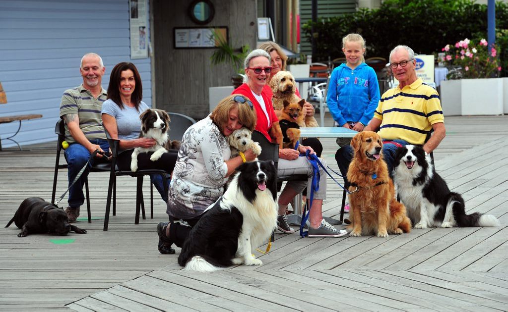 Dog dining issue divides community Sunshine Coast Daily