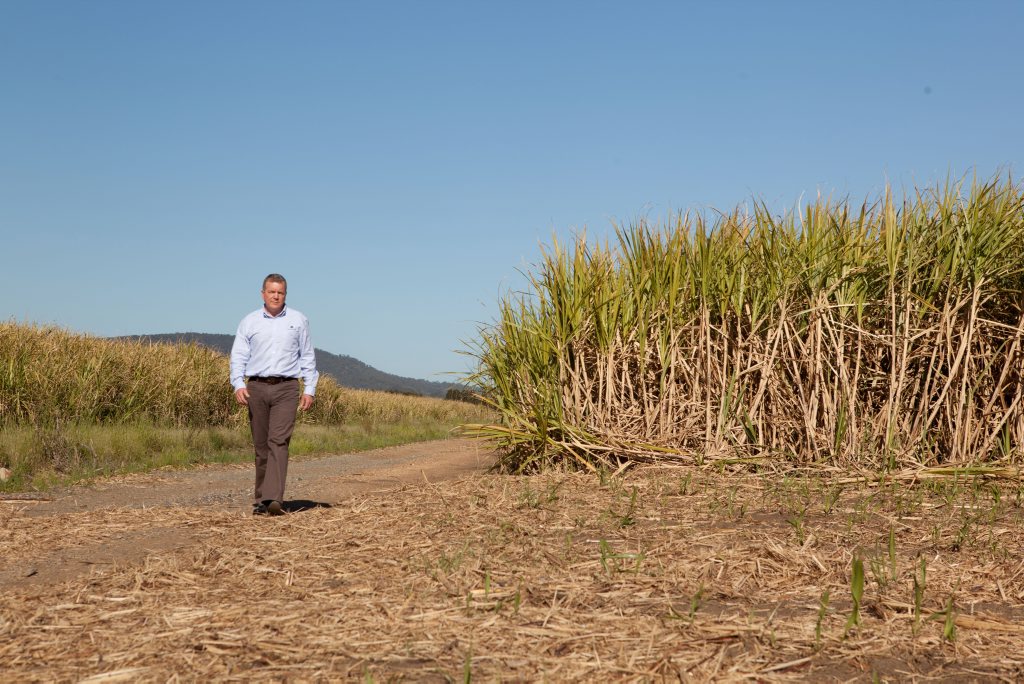 Canegrowers CEO Steve Greenwood. Canegrowers CEO Steve Greenwood.