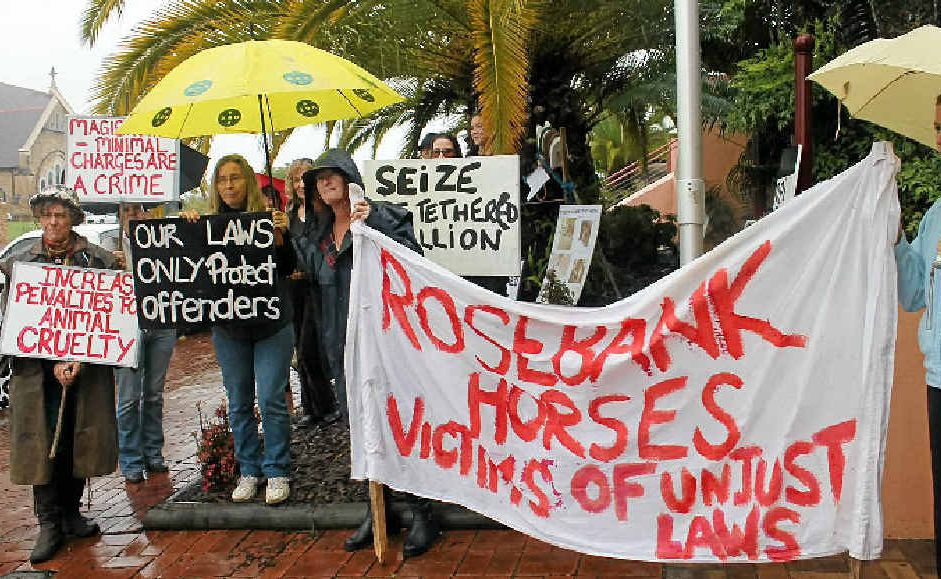ANIMAL cruelty protestors greeted Rosebank horse owner Paul Travill with cries of “Stop the abuse!” when he appeared at Lismore Local Court last Friday.