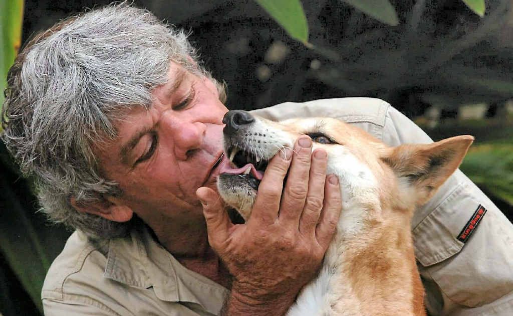 Ray Revill says the verdict that a dingo took Azaria Chamberlain suggests the animals are much more dangerous than they really are. Ray Revill says the verdict that a dingo took Azaria Chamberlain suggests the animals are much more dangerous than they really are.