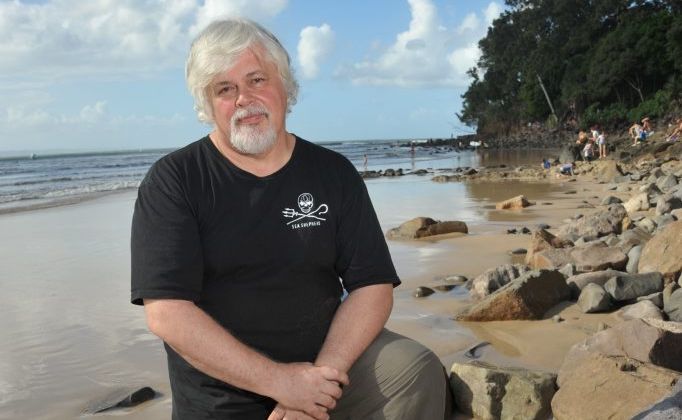 Captain of the Sea Shepherd protest ship, Paul Watson. Captain of the Sea Shepherd protest ship, Paul Watson.