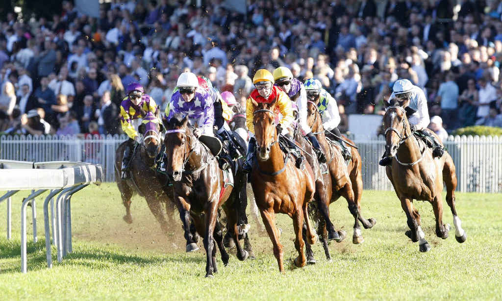 The main attraction, the Ipswich Cup, gets under way at the Ipswich Turf Club on Saturday. The main attraction, the Ipswich Cup, gets under way at the Ipswich Turf Club on Saturday.