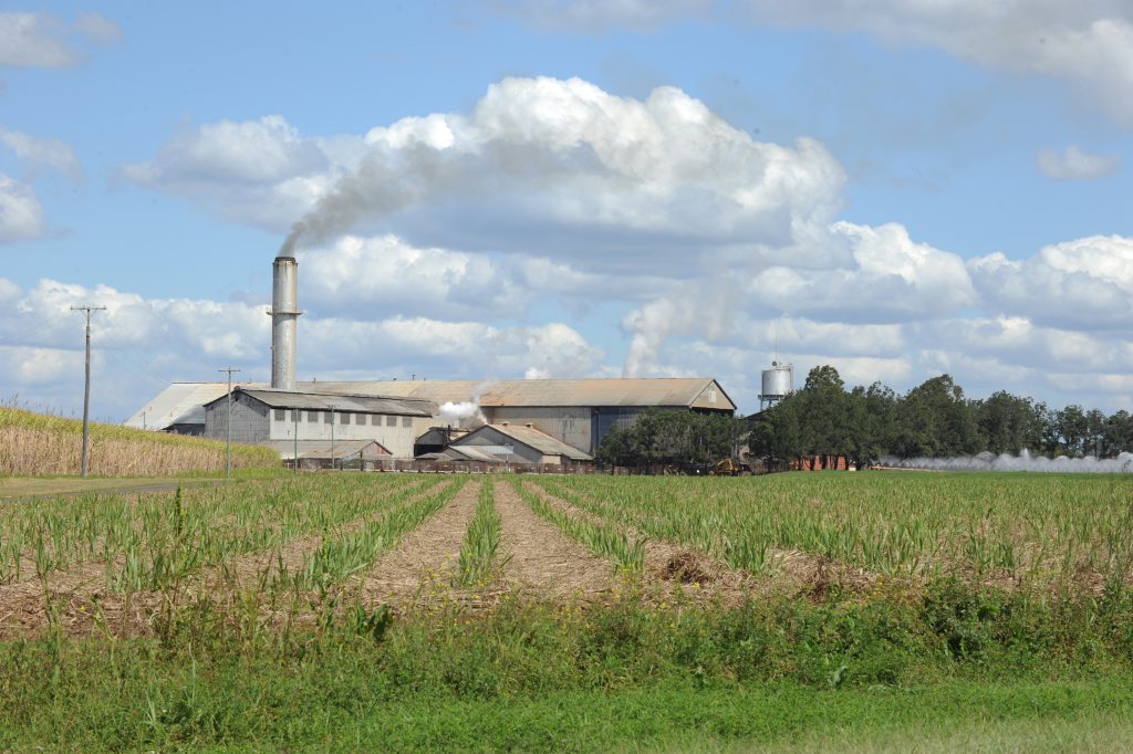 Bingera Mill Bingera Mill