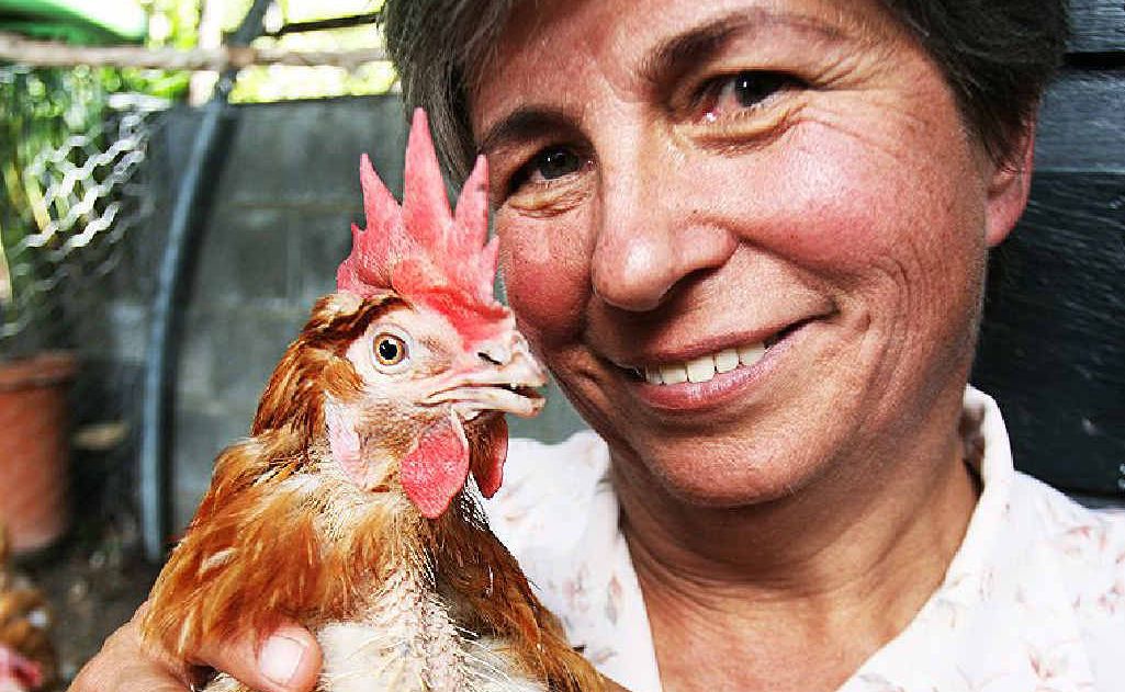 THANKS to animal rights campaigns, the cruel conditions that millions of Australian battery hens endure have become common knowledge.
