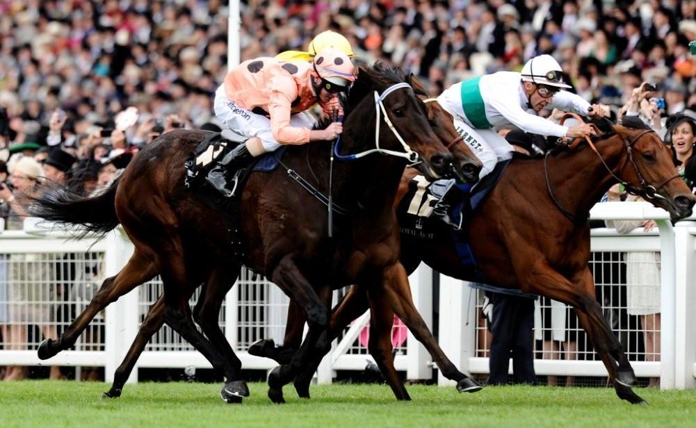 Jockey Luke Nolen and Black Caviar in action at Royal Ascot. Jockey Luke Nolen and Black Caviar in action at Royal Ascot.
