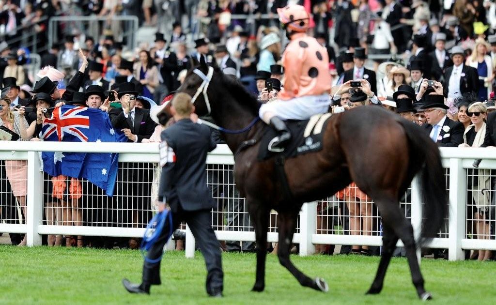 Black Caviar returned to Australia after emerging victorious in the Diamond Jubilee Stakes at Royal Ascot. Black Caviar returned to Australia after emerging victorious in the Diamond Jubilee Stakes at Royal Ascot.