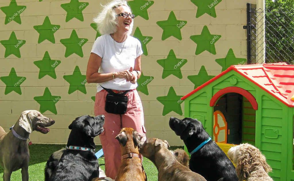Author and trainer Suzanne Wright says it's important to remain consistent and keep to set rules. Author and trainer Suzanne Wright says it's important to remain consistent and keep to set rules.