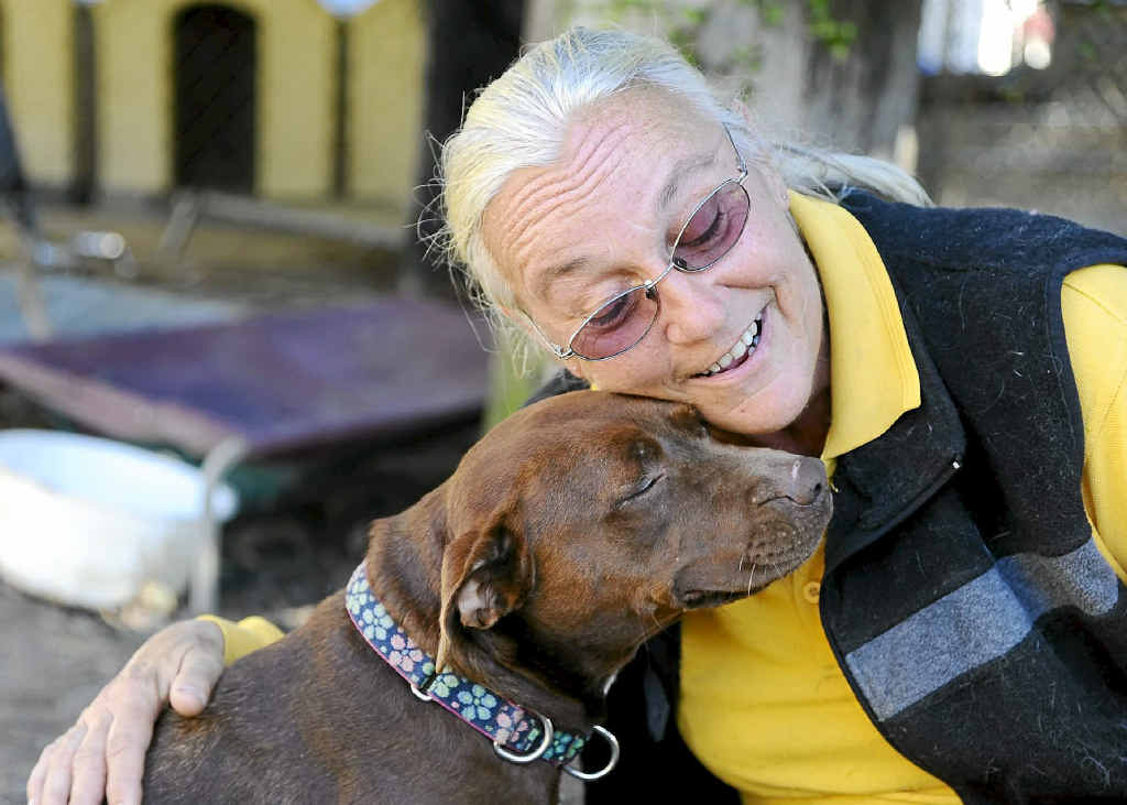 Sally Rogers, of Happy Paws Haven at Eatonsville, with some of the many dogs in her care. Sally Rogers, of Happy Paws Haven at Eatonsville, with some of the many dogs in her care.