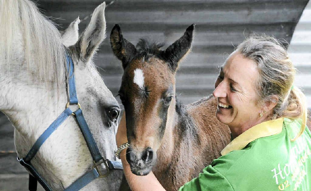 Joyce Corbett of Jiggi with her horse 18-year-old mare Refleex and her foal Flex-x born on Wednesday evening. Joyce and Refleex won the Tom Quilty Cup in 2004. Joyce Corbett of Jiggi with her horse 18-year-old mare Refleex and her foal Flex-x born on Wednesday evening. Joyce and Refleex won the Tom Quilty Cup in 2004.