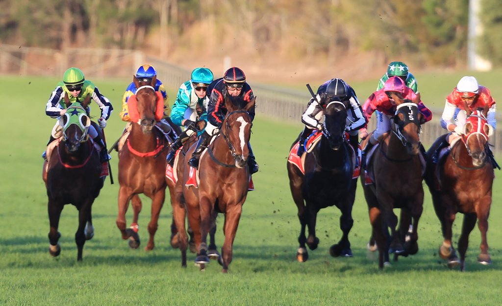 Horse racing at Corbould Park. FILE IMAGE Horse racing at Corbould Park. FILE IMAGE