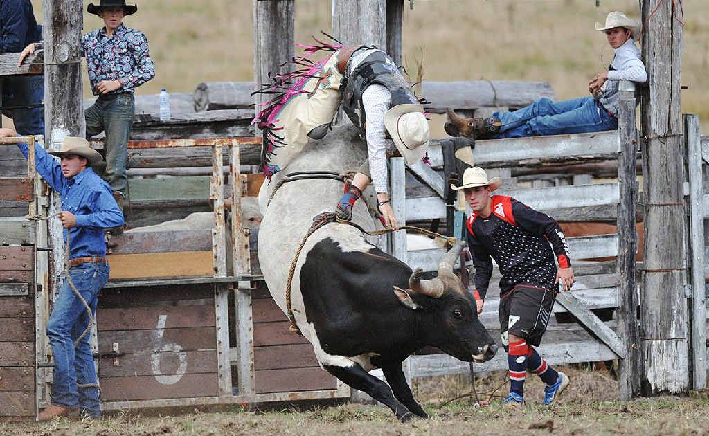 Rider Matt Boland tries to stay on Suicide during the Teebar Country Stampede. Rider Matt Boland tries to stay on Suicide during the Teebar Country Stampede.