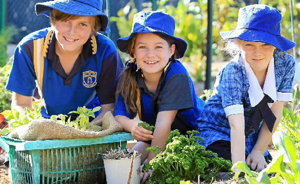 Caloundra State Primary School students (from left) Alex Hiotis, Amy Rosenthal and Abigail Bopf in their school's healthy food garden. Caloundra State Primary School students (from left) Alex Hiotis, Amy Rosenthal and Abigail Bopf in their school's healthy food garden.
