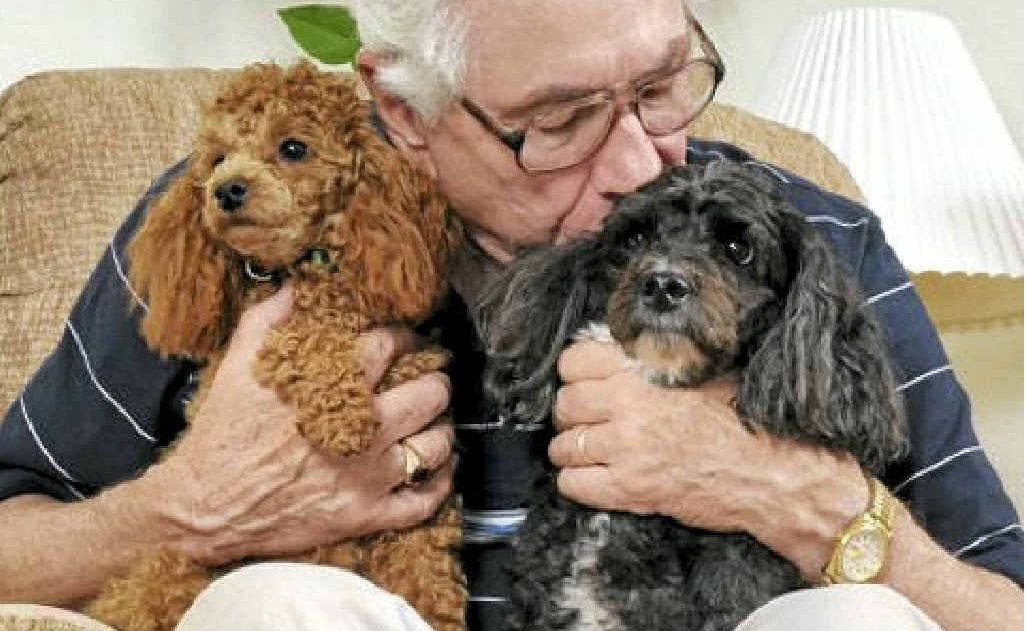 Aging pets need much the same care regimes as elderly people. Aging pets need much the same care regimes as elderly people.
