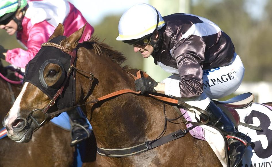 A slow track at Coffs Harbour on Wednesday plays right into the hands of the Gayna Williams trained Instant Success. A slow track at Coffs Harbour on Wednesday plays right into the hands of the Gayna Williams trained Instant Success.