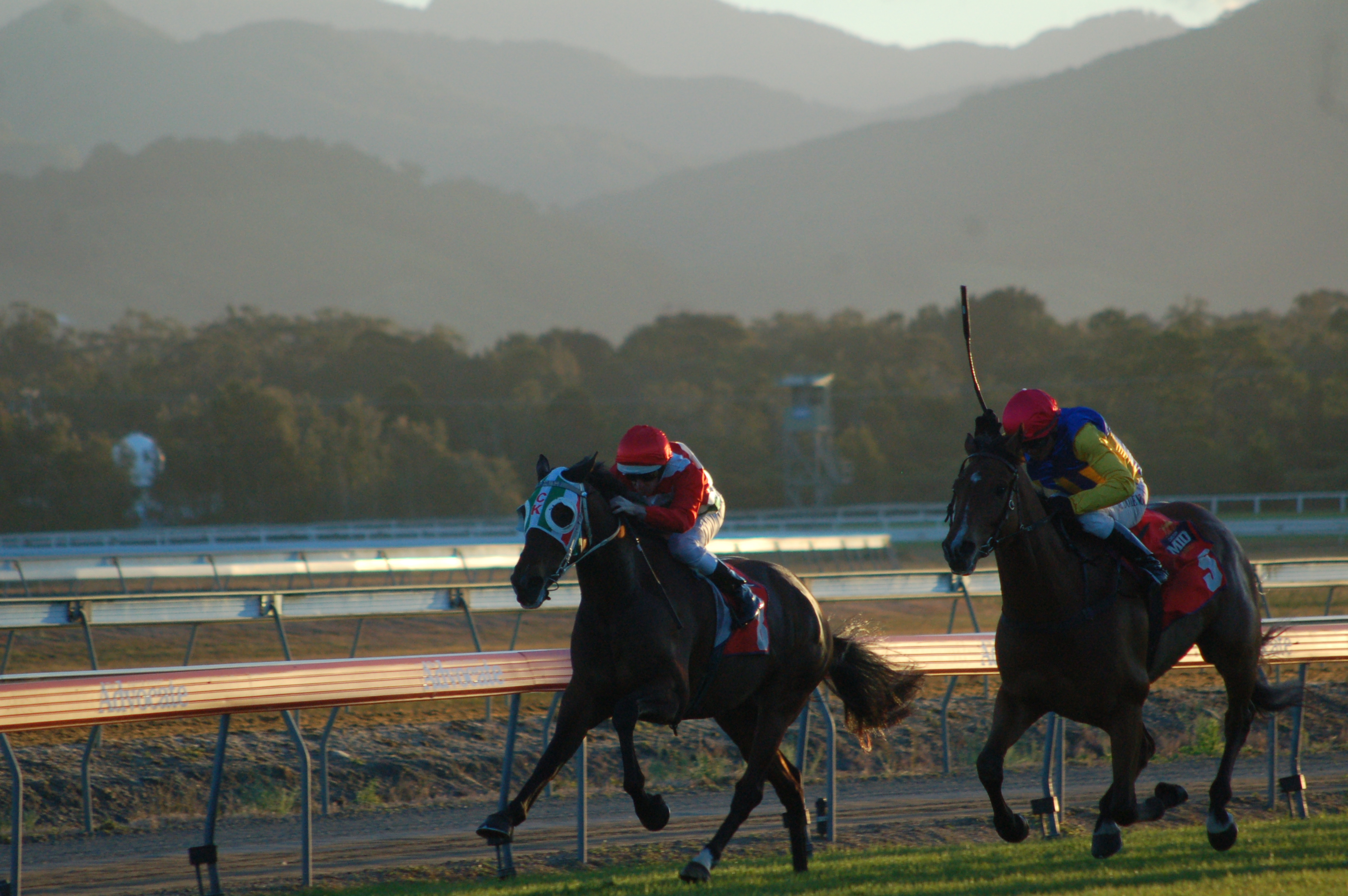 Storm Fabulador put in the perfect sprint over the final to help Jockey Marlon Dolendo and trainer John Everson claim the Cabcharge Ken Howard Cup. 