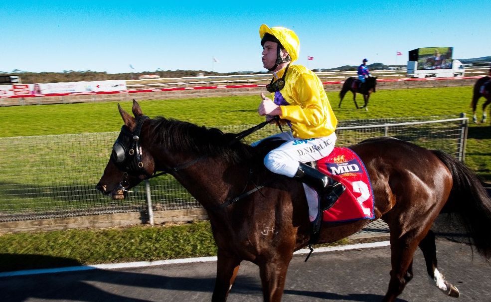 Danny Nikolic helped Symposium to a second successive win in the Daniel Baker Sprint. Trainer Trevor Hardy was thrilled to win the feature race on Coffs Harbour Gold Cup Day again. Danny Nikolic helped Symposium to a second successive win in the Daniel Baker Sprint. Trainer Trevor Hardy was thrilled to win the feature race on Coffs Harbour Gold Cup Day again.
