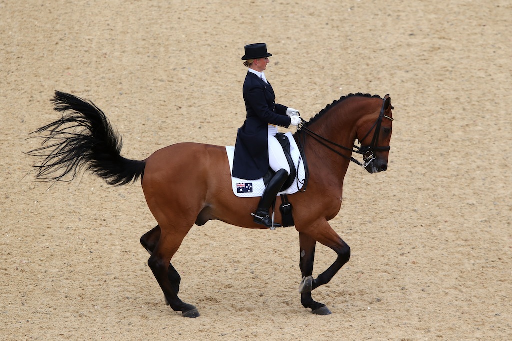 The Australian dressage team has failed to progress at the London Olympics. The Australian dressage team has failed to progress at the London Olympics.