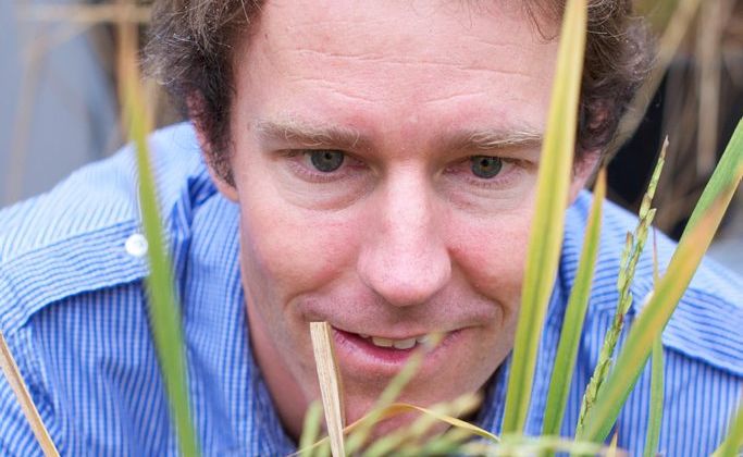 Dr Terry Rose, a research fellow with SCU's Southern Cross Plant Science and Southern Cross Geoscience Research Centres Dr Terry Rose, a research fellow with SCU's Southern Cross Plant Science and Southern Cross Geoscience Research Centres
