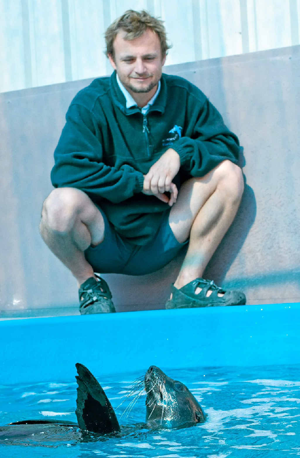 Dr Duan March and the juvenile fur seal under rehabilitation at the Pet Porpoise Pool. Dr Duan March and the juvenile fur seal under rehabilitation at the Pet Porpoise Pool.