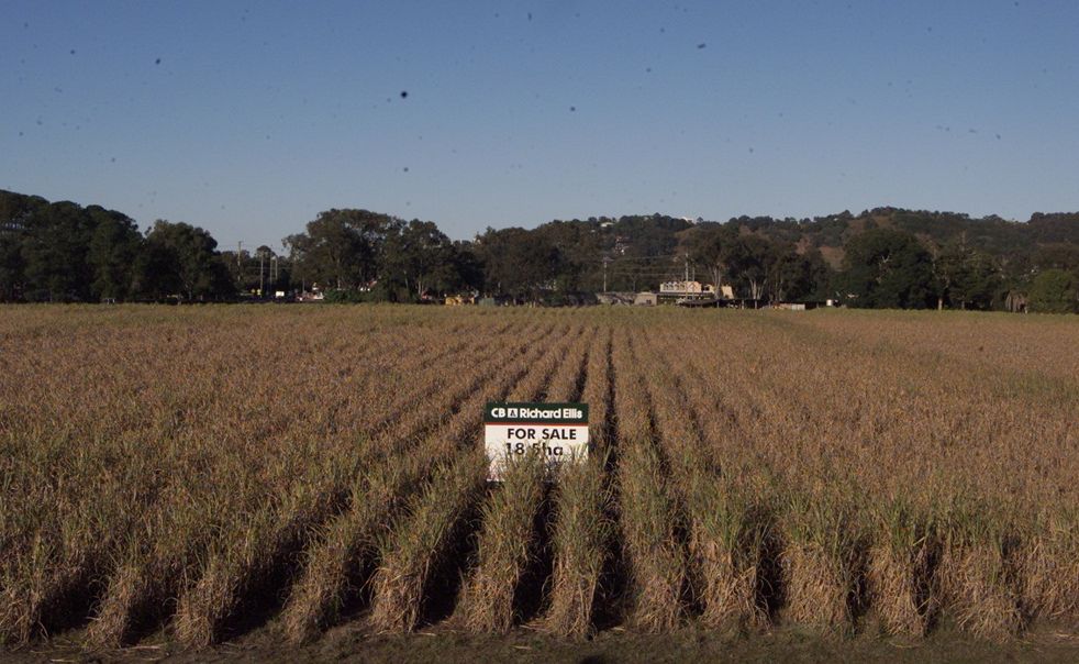 Canelands masterplan still a mystery Sunshine Coast Daily