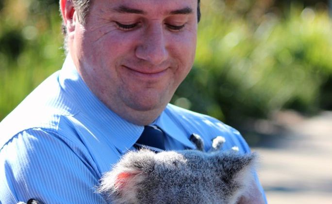 Minister for Environment and Heritage Protection Andrew Powell with India the Koala at Australia Zoo Wildlife Hospital. Minister for Environment and Heritage Protection Andrew Powell with India the Koala at Australia Zoo Wildlife Hospital.
