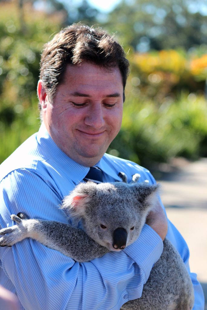 Minister for Environment and Heritage Protection Andrew Powell with India the Koala at Australia Zoo Wildlife Hospital. Minister for Environment and Heritage Protection Andrew Powell with India the Koala at Australia Zoo Wildlife Hospital.