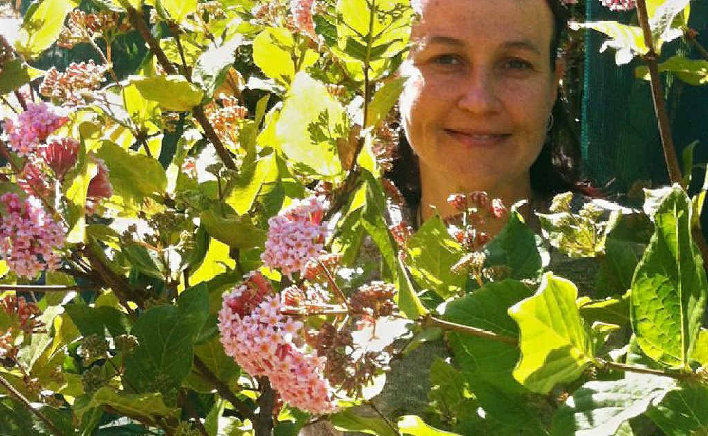 Chelsea van Rijn from Trevallan Lifestyle Centre talks classic plants. Chelsea van Rijn from Trevallan Lifestyle Centre talks classic plants.