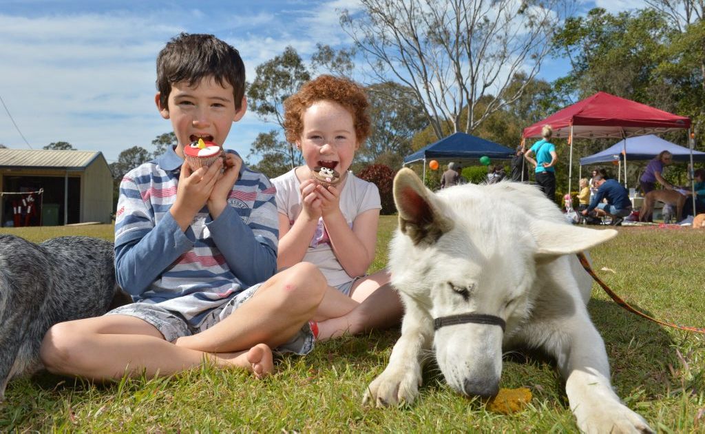 Heather and Eden Devon with cupcakes and Koeda Bear with a pupcake support a fundraiser for the RSPCA at Buderim. Heather and Eden Devon with cupcakes and Koeda Bear with a pupcake support a fundraiser for the RSPCA at Buderim.