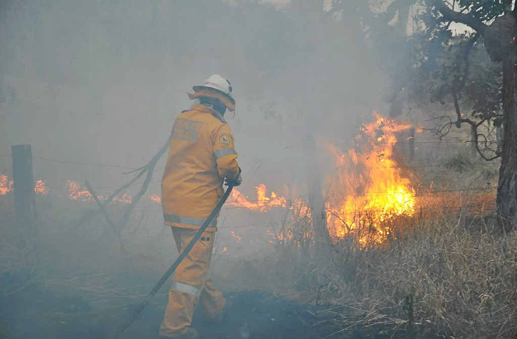 A total fire ban remains in place on the Coffs Coast today. Strong winds also led to blackouts overnight. A total fire ban remains in place on the Coffs Coast today. Strong winds also led to blackouts overnight.