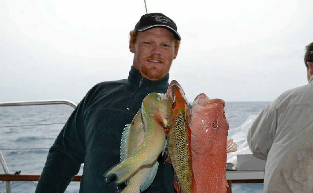 Reef fin fish such as these will be off limits in October and November during peak breeding cycles. Reef fin fish such as these will be off limits in October and November during peak breeding cycles.