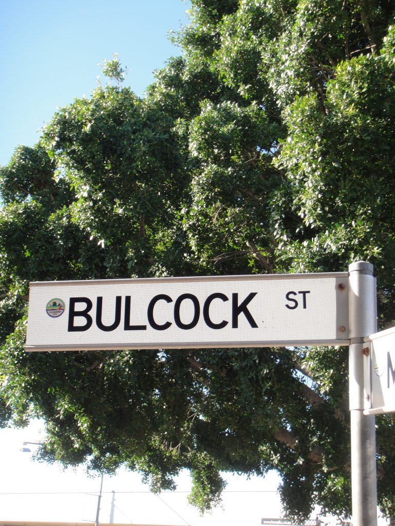 Businesses have questioned why there is a lack of CCTV on Bulcock St. Businesses have questioned why there is a lack of CCTV on Bulcock St.