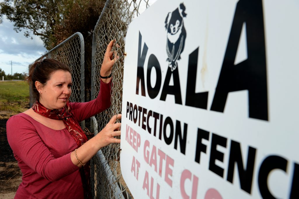 Jenny Hayes at a fence designed to keep koalas safe from traffic near the site of a bushfire in Cudgen. Jenny Hayes at a fence designed to keep koalas safe from traffic near the site of a bushfire in Cudgen.