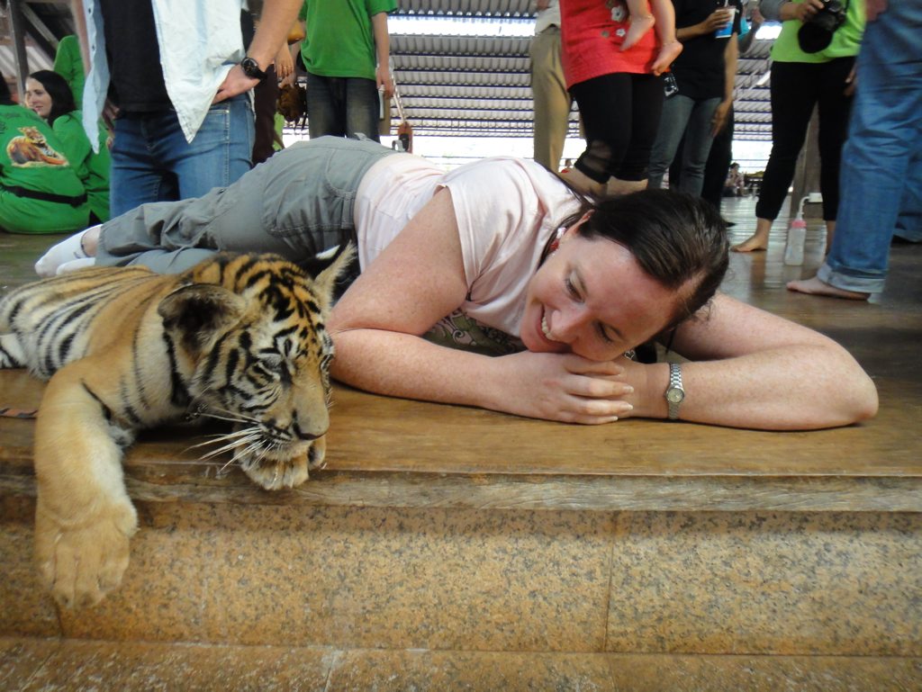 Rae Wilson at the Tiger Temple, about two hours drive from Bangkok. Hands-on experience - feeding, walking, washing and playing with tiger cubs. Rae Wilson at the Tiger Temple, about two hours drive from Bangkok. Hands-on experience - feeding, walking, washing and playing with tiger cubs.