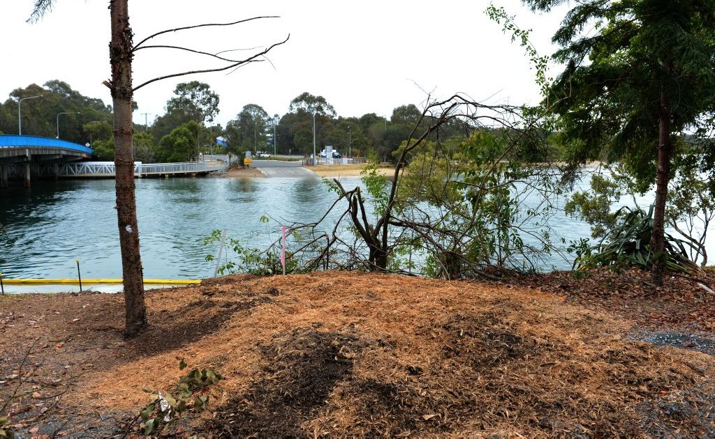 Protester Lynne Hargreaves says whoever poisoned the tree did not think about the greater community. Protester Lynne Hargreaves says whoever poisoned the tree did not think about the greater community.