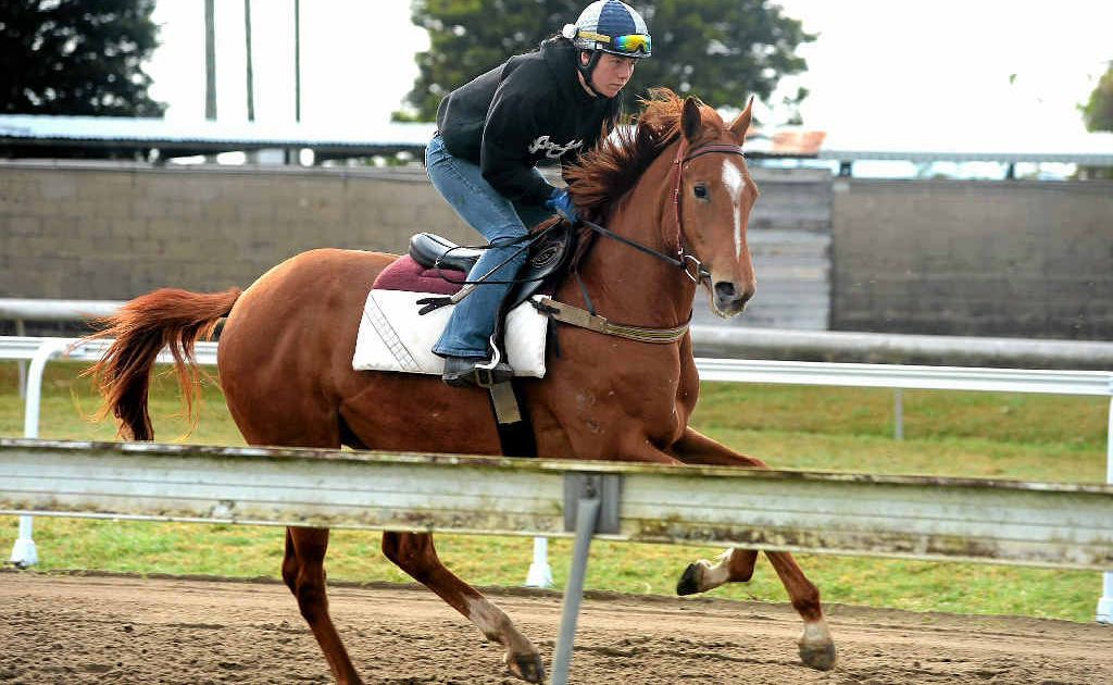 Regular partner, Keira Calland, sends the imposing Jet Spur filly along at trackwork at Murwillumbah on Thursday morning. Regular partner, Keira Calland, sends the imposing Jet Spur filly along at trackwork at Murwillumbah on Thursday morning.