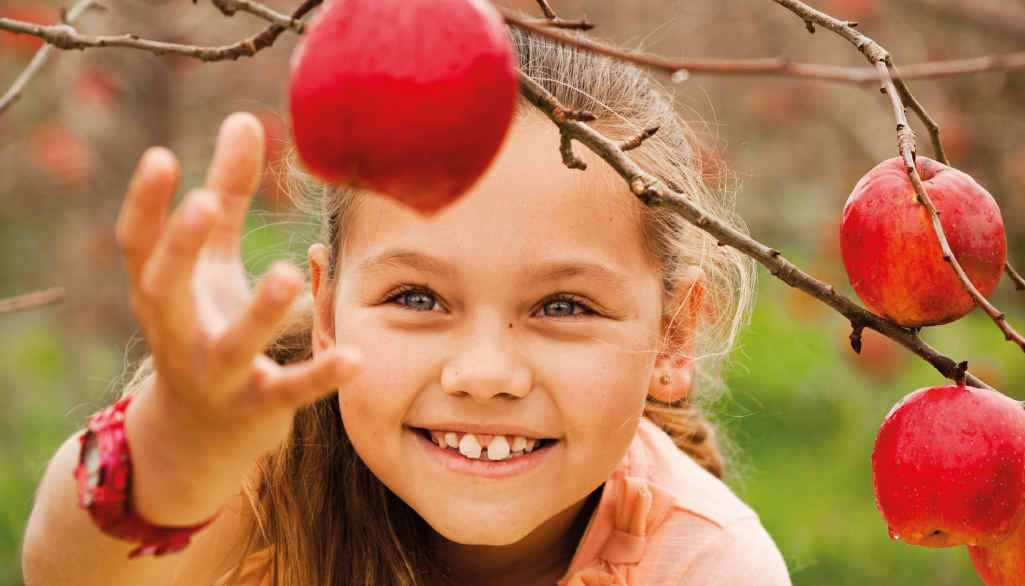 The Stanthorpe region has a lot to offer families. The Stanthorpe region has a lot to offer families.