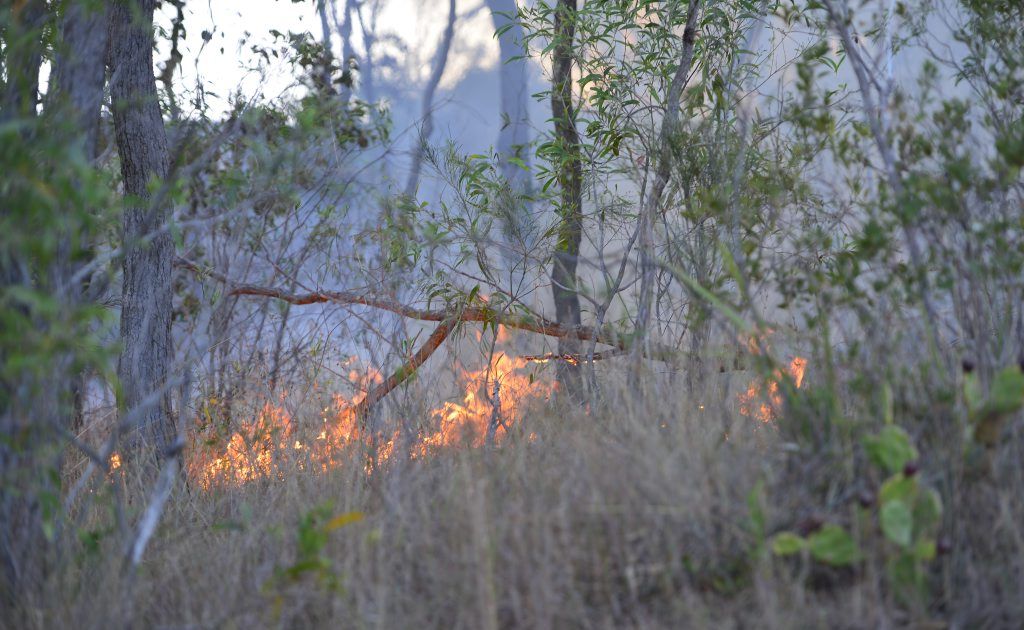 A number of small grass fires have been burning in the Gladstone region. (File photo) A number of small grass fires have been burning in the Gladstone region. (File photo)