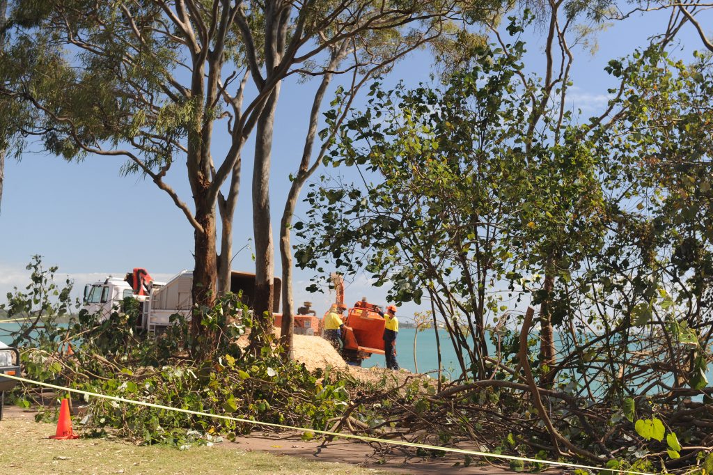 Fraser Coast Regional Council's foreshore clearing program has sparked debate in the community.