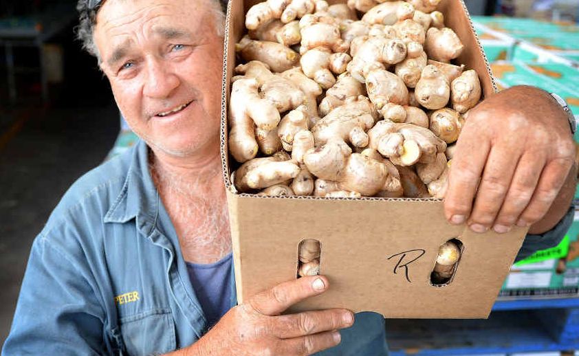 Peter Buchanan at the Gympie Packhouse with some Langshaw ginger ready for market. Peter Buchanan at the Gympie Packhouse with some Langshaw ginger ready for market.