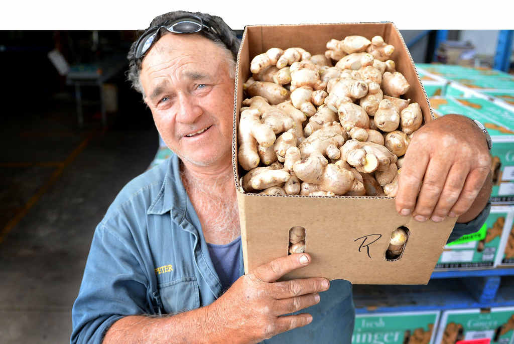 Peter Buchanan at the Gympie Packhouse with some Langshaw ginger ready for market. Peter Buchanan at the Gympie Packhouse with some Langshaw ginger ready for market.