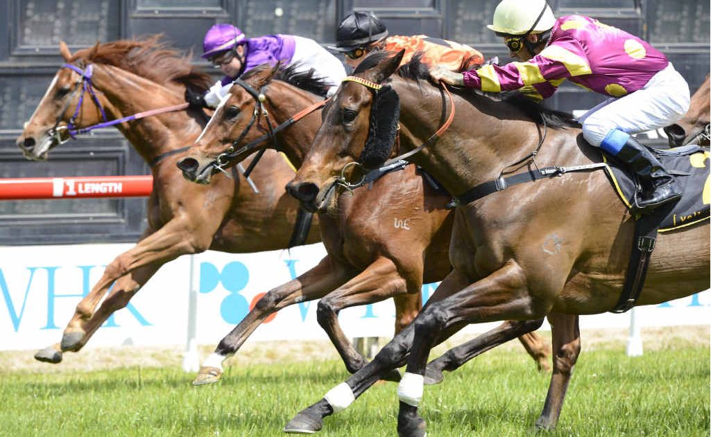 Toolbag, ridden by Terry Treichel, on the outside beats out Just So Bruno (centre) and Outrider in the XXXX Class 1 Hcp (1000m) at the Grafton races. Photo: Adam Hourigan Toolbag, ridden by Terry Treichel, on the outside beats out Just So Bruno (centre) and Outrider in the XXXX Class 1 Hcp (1000m) at the Grafton races. Photo: Adam Hourigan