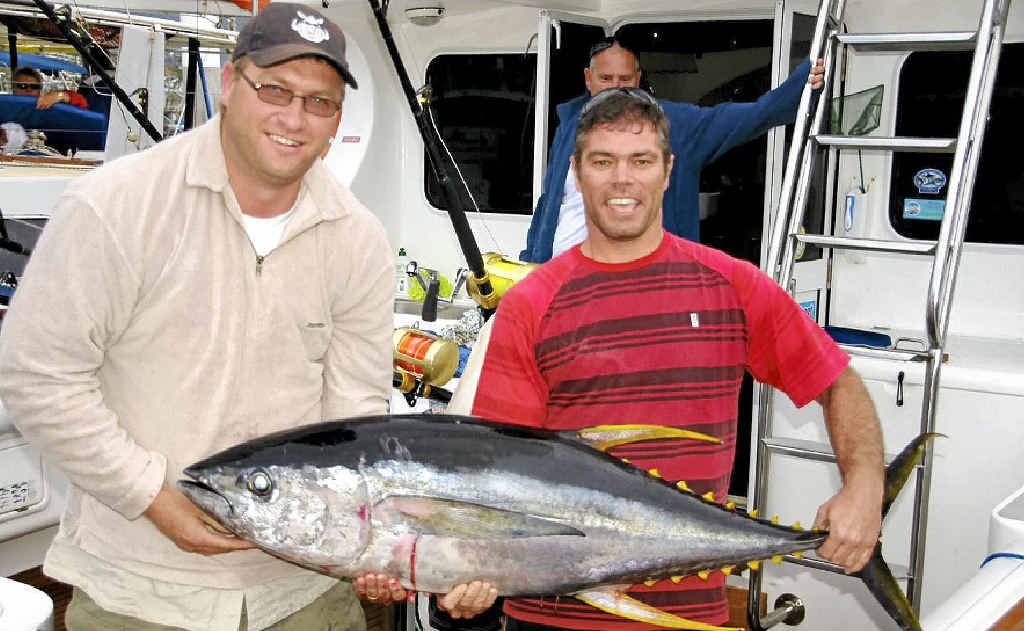 This 35kg yellowfin was caught out in 1600 fathoms by the crew of Black N Blue. Photo: Contributed This 35kg yellowfin was caught out in 1600 fathoms by the crew of Black N Blue. Photo: Contributed