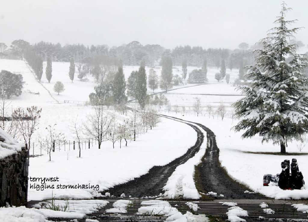 Southern Downs storm chaser Terry West of Higgins Stormchasing snapped this amazing snow shot yesterday morning just outside Glen Innes, 90km south of Tenterfield. Southern Downs storm chaser Terry West of Higgins Stormchasing snapped this amazing snow shot yesterday morning just outside Glen Innes, 90km south of Tenterfield.