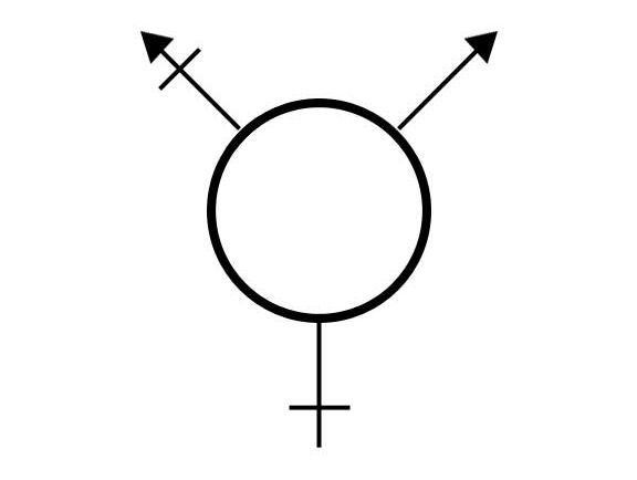 The logo representing the Trans* community The logo representing the Trans* community