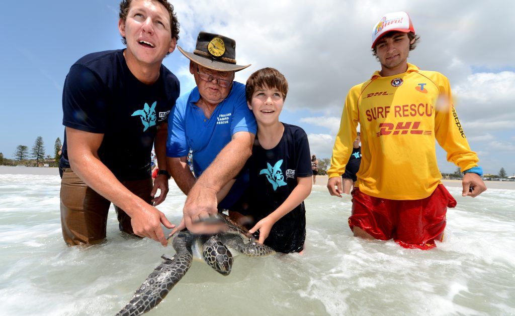 Tim Adams, Ron Potter, Josh Petty and Fletcher Rainford-Markarian release Macs the turtle at Kingscliff Beach. Tim Adams, Ron Potter, Josh Petty and Fletcher Rainford-Markarian release Macs the turtle at Kingscliff Beach.